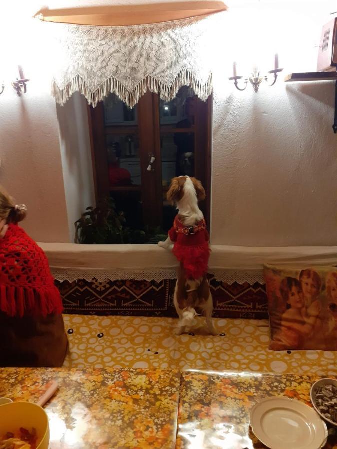 Katina Boutique Otel Sirince Zewnętrze zdjęcie